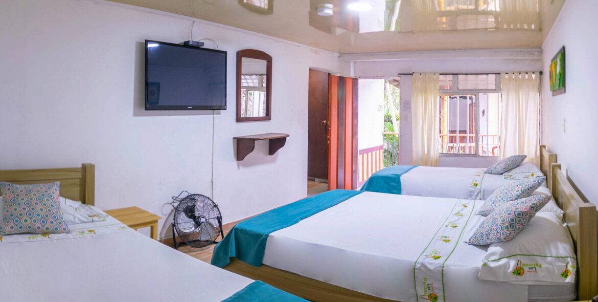 ECO-HOTEL-LAS-PALMAS-ARMENIA-QUINDIO (5)
