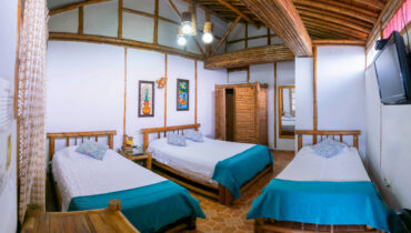 ECO-HOTEL-LAS-PALMAS-ARMENIA-QUINDIO (7)